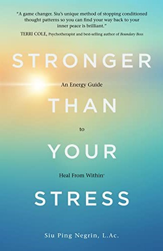 strongerthanyourstressbookcover